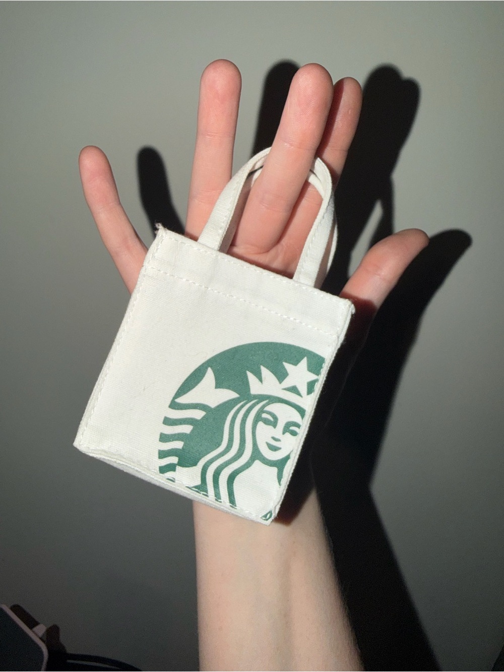 2019 Starbucks White Canvas Mini Bag
